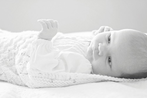 IMG_9823e2 copy (2)                           